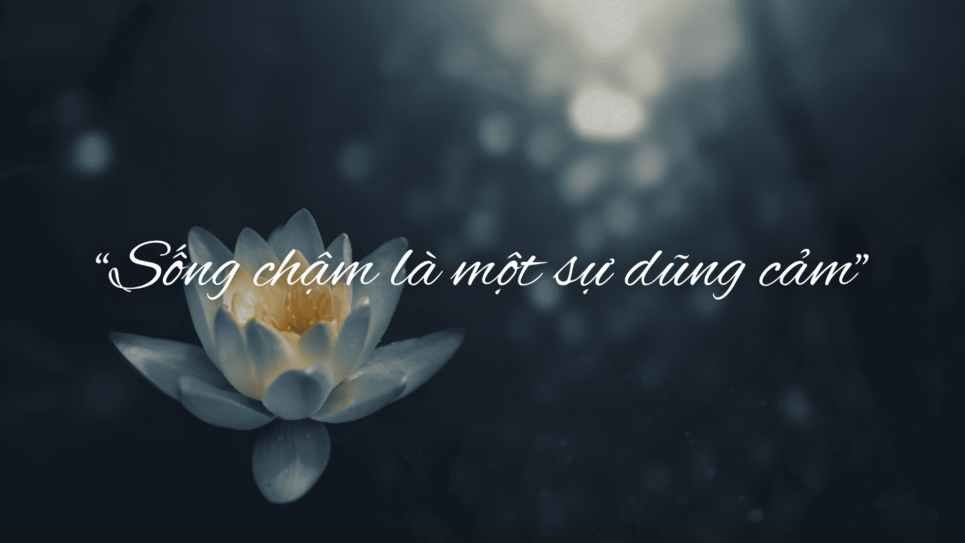 Sống chậm là một sự dũng cảm